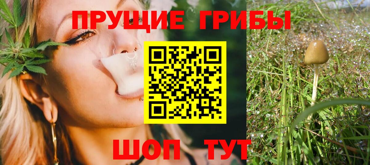 Галлюциногенные грибы Magic Shrooms  продажа наркотиков  Орехово-Зуево  Галлюциногенные грибы ЛСД  Вход с VPN 